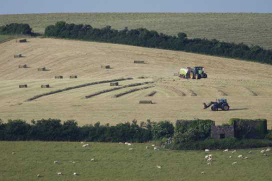 16 June 2022 - 18-37-14
First making, then destroying pretty patterns whilst they're at it. Who knew haymaking was artistic ?
--------------------
Kingswear farming